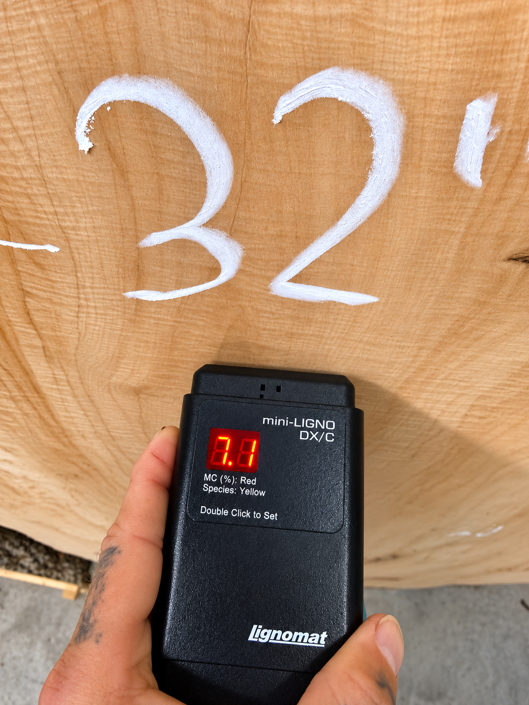 Curly Maple Live Edge kiln dried Slab – 102” x 39” x 2”