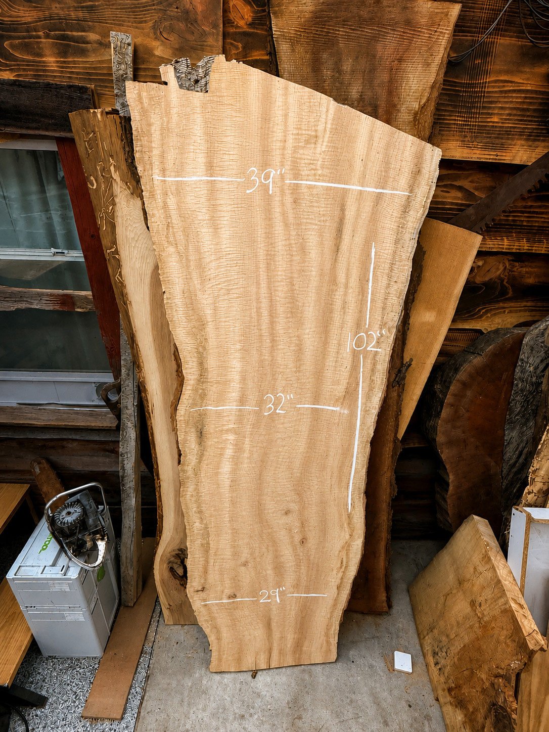 Curly Maple Live Edge kiln dried Slab – 102” x 39” x 2”