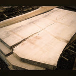 SUGAR MAPLE