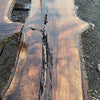 BLACK WALNUT SLAB