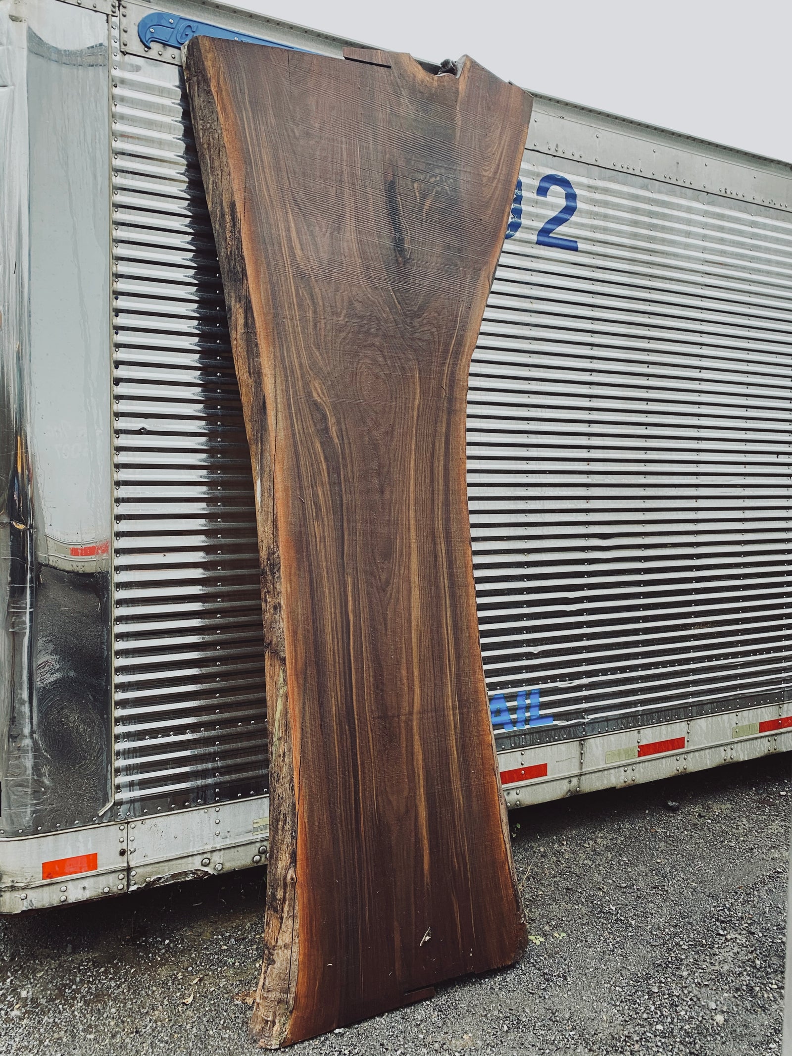 BLACK WALNUT SLAB