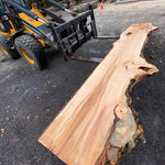 HARD MAPLE