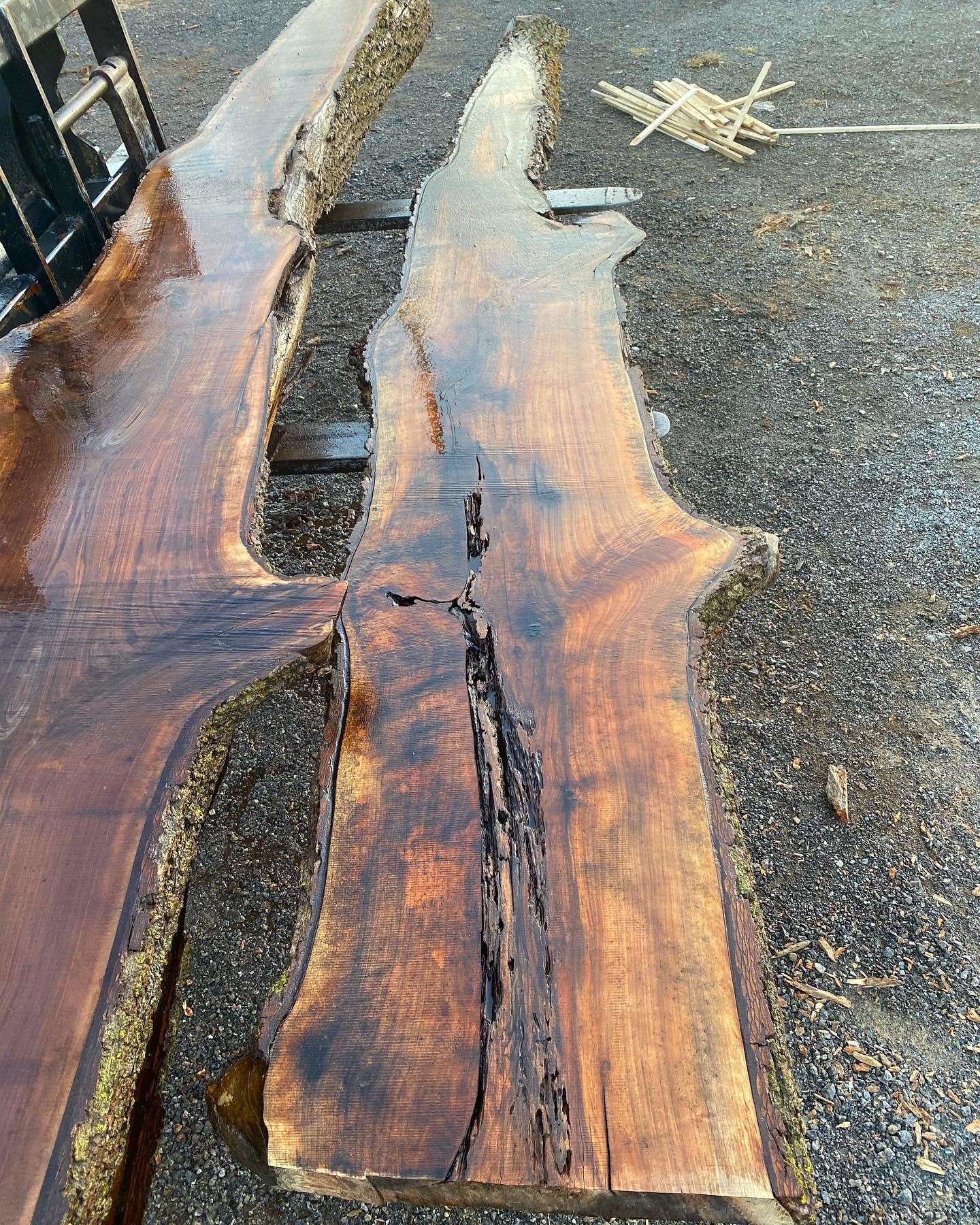 BLACK WALNUT SLAB